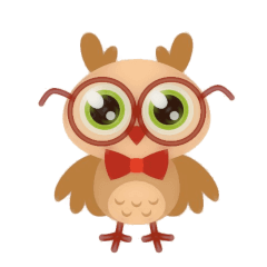owl 10