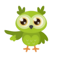 owl 12