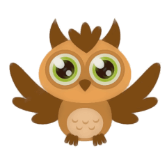 owl 9